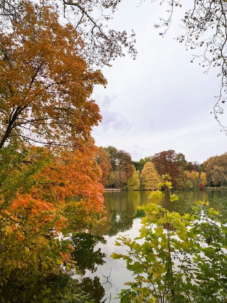 Le parc de la tête d'or dans le 6ème arrondissement de lyon
